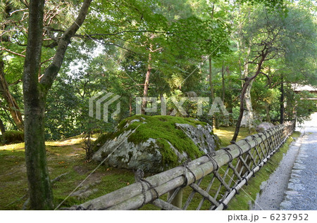 竜安寺 竜安寺 6237952