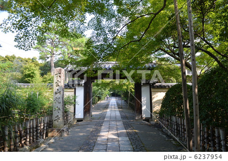 竜安寺 6237954