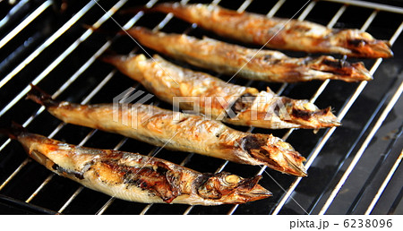 焼きシシャモ 6238096