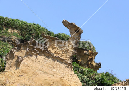 野柳地質公園 野柳地質公園 6238426