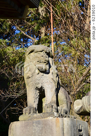 吉田神社 6239010