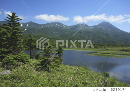 知床連山と知床五湖(一湖) 知床連山と知床五湖(一湖) 6239174