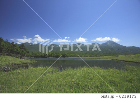 知床連山と知床五湖(一湖) 知床連山と知床五湖(一湖) 6239175