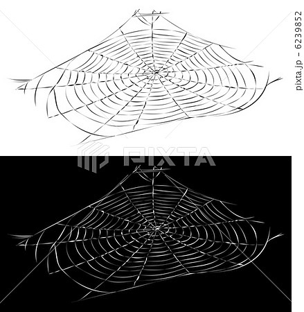 蜘蛛の巣のイラスト素材