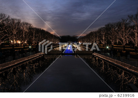 イルミネーション 6239916