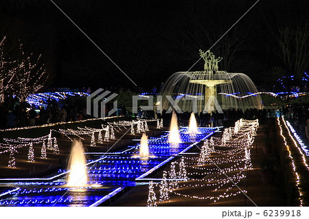 イルミネーション 6239918