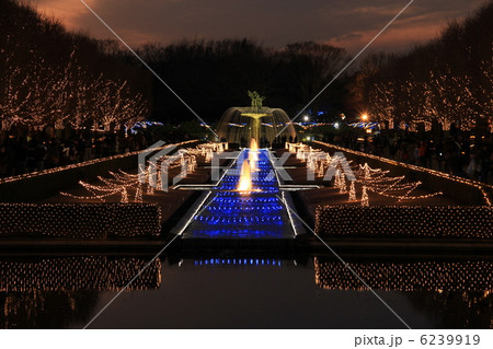 イルミネーション 6239919