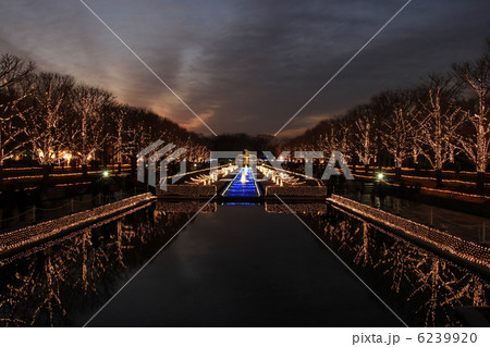 イルミネーション 6239920