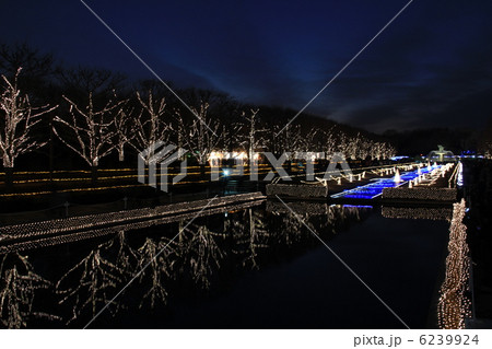 イルミネーション 6239924