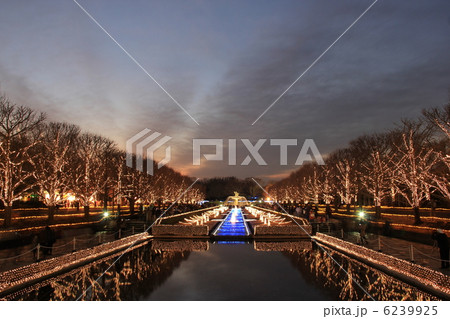 イルミネーション 6239925