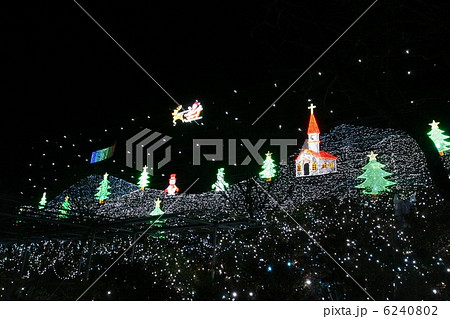 足利フラワーパークイルミネーション 6240802