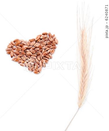 Wheat heart and wheat ear Wheat heart and wheat ear 6240871