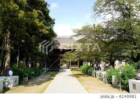 茂林寺 茂林寺 6240981