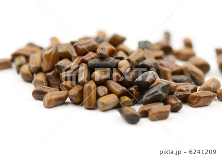 決明子（けつめいし） 6241209