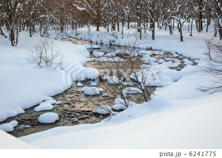 冬の森の河川 6241775