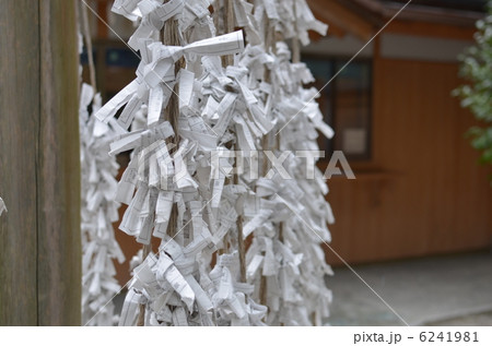 おみくじ 6241981