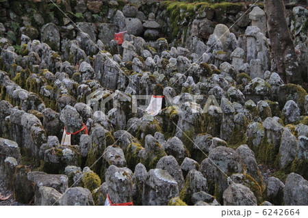 化野念仏寺 6242664