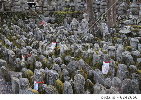 化野念仏寺 化野念仏寺 6242666