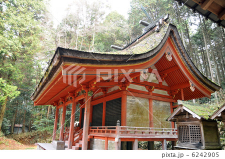 重要文化財 上鴨川住吉神社本殿 兵庫県加東市 重要文化財 上鴨川住吉神社本殿 兵庫県加東市 6242905