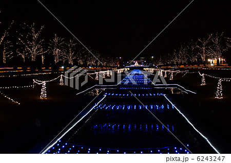 イルミネーション 6243247