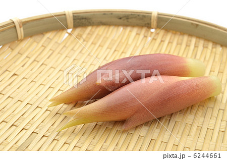みょうが　竹かご 6244661