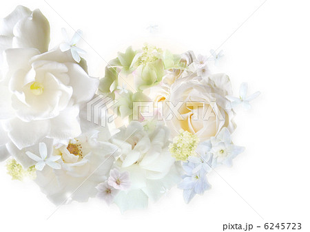 渦を巻く花々背景白地のイラスト素材