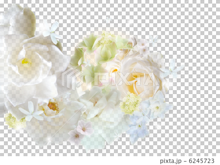 漩渦開花背景白色背景 6245723