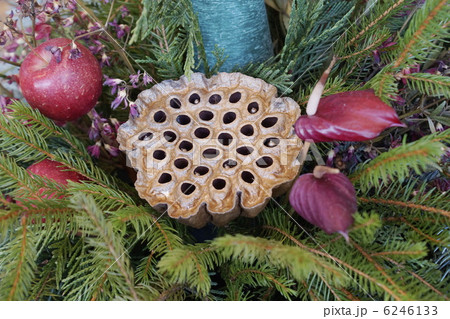 3 クリスマス 飾り 3 クリスマス 飾り 6246133