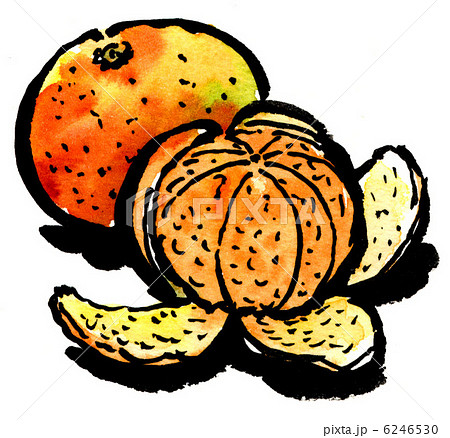 mikan121225pix 6246530