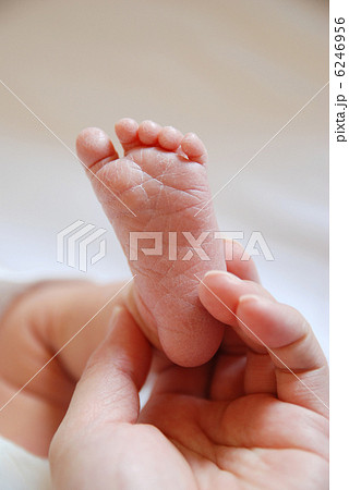 新生児の足 6246956