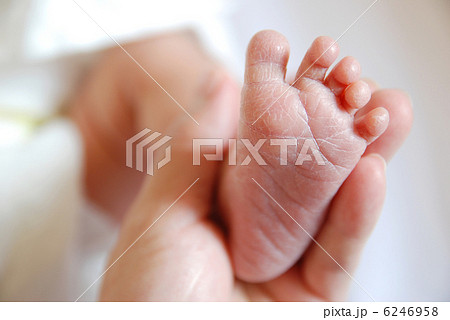 新生児の足 6246958