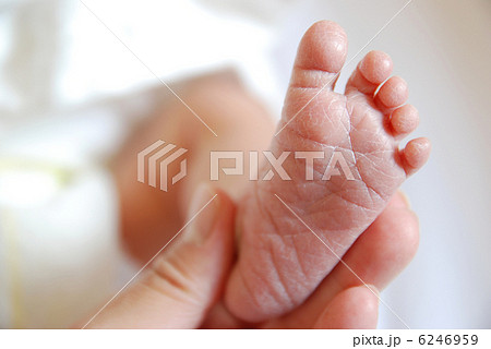 新生児の足 新生児の足 6246959