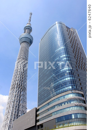快晴の東京スカイツリーとイーストタワー 6247640