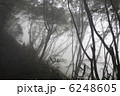 日の出山登山　雨上がり　霧 6248605