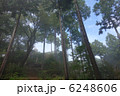 日の出山登山　雨上がり 6248606