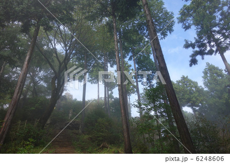日の出山登山　雨上がり 6248606