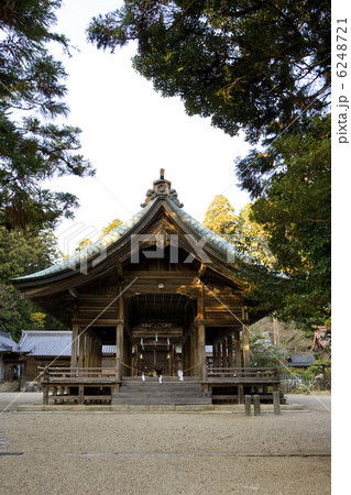 猿投神社参道より拝殿 猿投神社参道より拝殿 6248721
