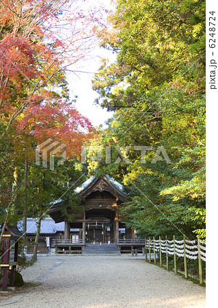 猿投神社参道 猿投神社参道 6248724
