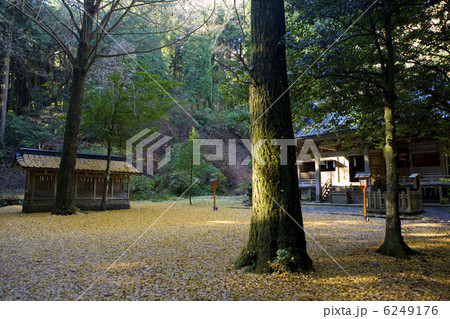 二岡神社境内 6249176
