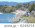 桜淵公園 6249254