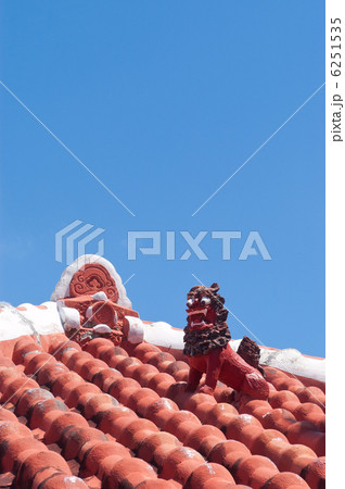 シーサー 6251535