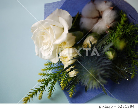 青いペーパーが引き立てる白いミニﾌﾞｰｹ 6251594