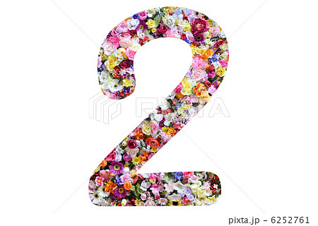 花のナンバー 6252761