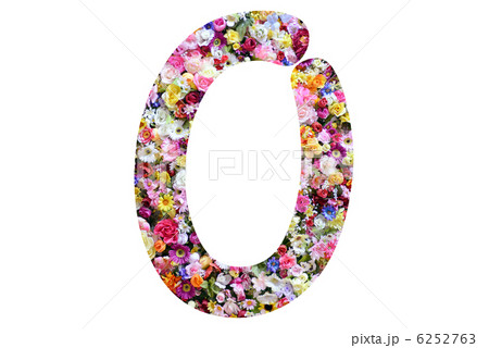 花のナンバー 6252763