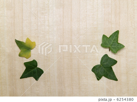 蔓葉のバックグラウンド 6254380