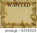 WANTED 6259329
