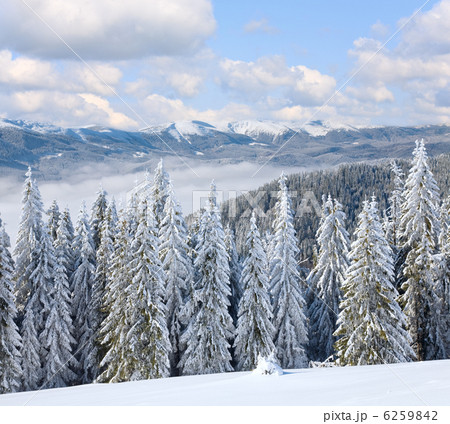 Winter mountain landscape Winter mountain landscape 6259842