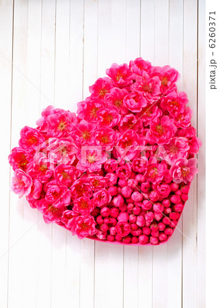 白いウッドデッキに置いた ハート型のピンクの桃の花  白いウッドデッキに置いた ハート型のピンクの桃の花  6260371