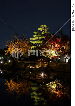 徳川園　秋 6262347