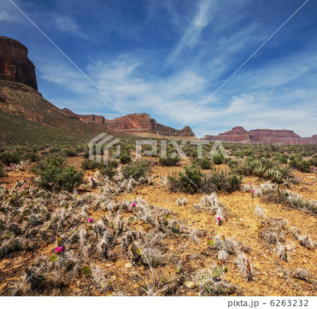 Grand Canyon 6263232
